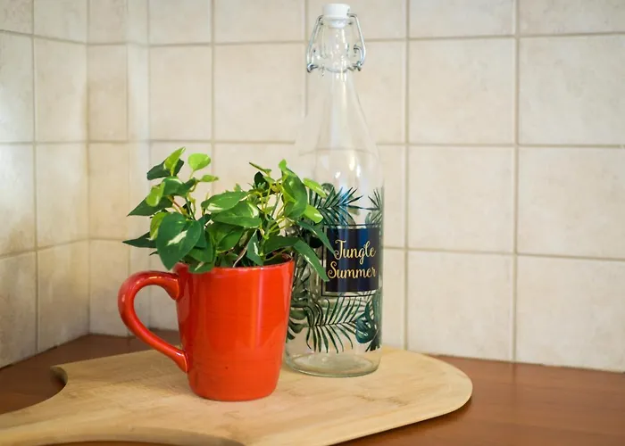 アパート Costa's Garden House *