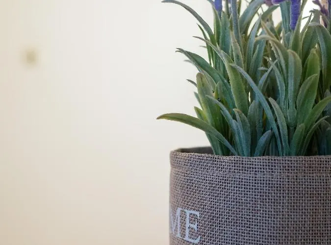 Costa's Garden House *