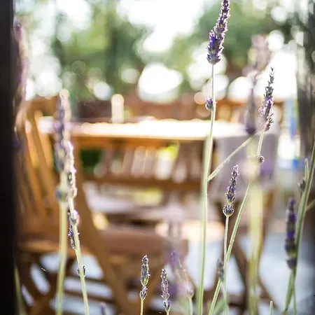 Costa's Garden House *