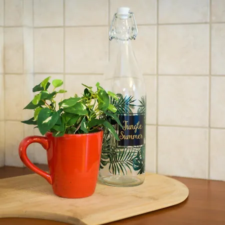 Апартаменты Costa's Garden House *