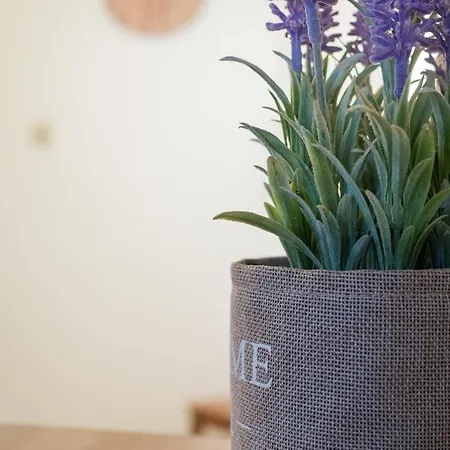 Costa's Garden House *