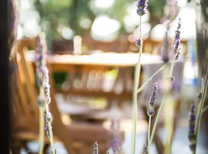 Costa's Garden House *